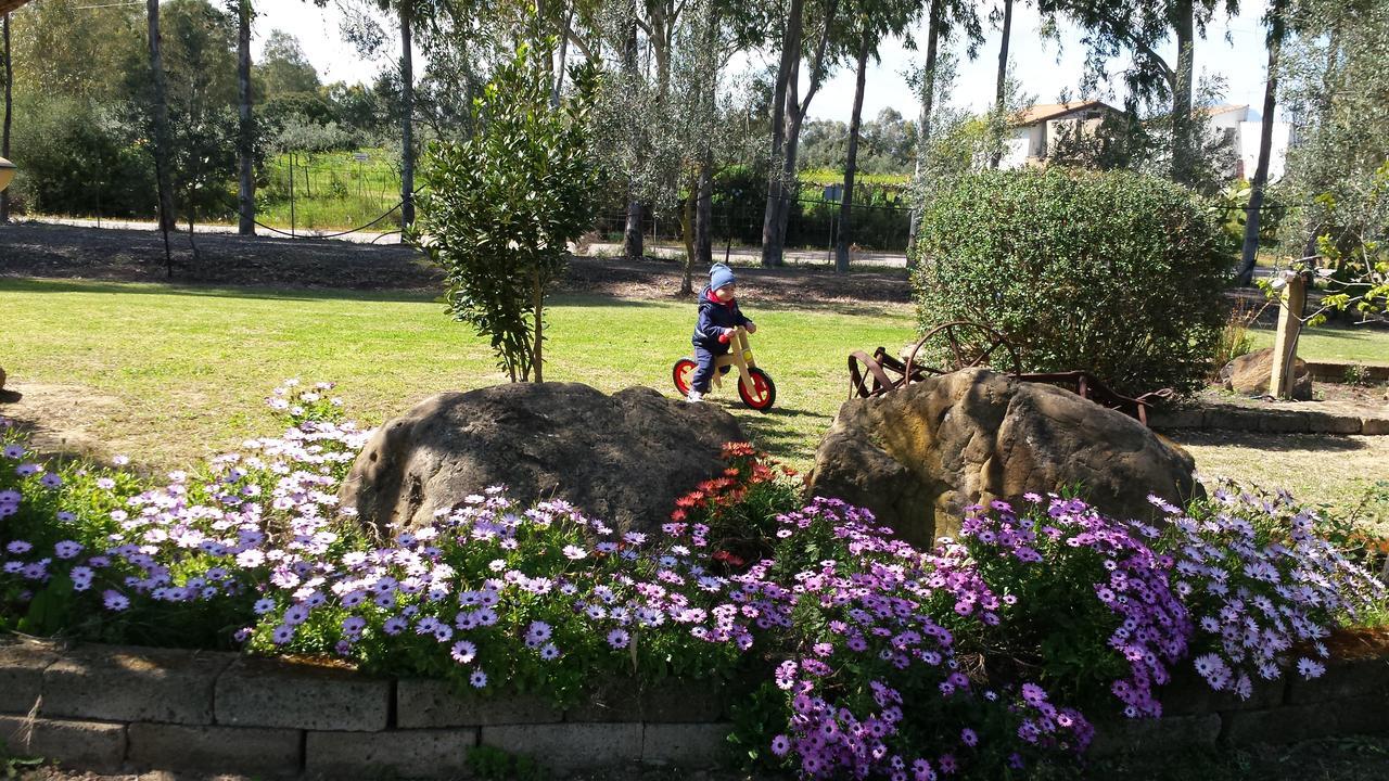 Agriturismo Monte Majore Siliqua Esterno foto